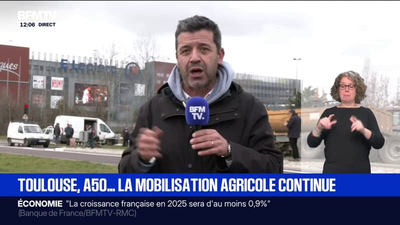 Mobilisation des agriculteurs: plusieurs interpellations à Toulouse et dans sa périphérie