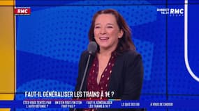  Faut-il généraliser les trains à 1€ ? Didier Giraud : "Tu fais ton cours du parfait socialiste !"