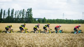 Le peloton lors de la 3e étape du Tour de France, le 7 juillet 2025.