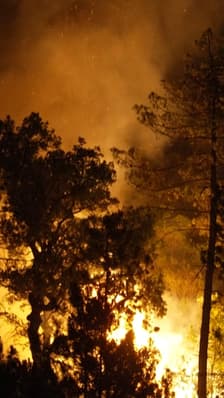 Le premier gros incendie de la saison ravage 600 hectares dans le Var