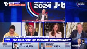 Story 2 : Nouvelle Assemblée, la macronie dissoute - 01/07