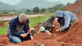 Des paléontologues travaille sur un site d'excavation où un fossile de dinosaure a été découvert à Sao Joao do Polesine, Rio Grande do Sul, Brésil. Les fortes pluies qui ont provoqué des inondations historiques dans le sud du Brésil au début de l'année ont révélé un fossile de dinosaure « très bien préservé » datant d'environ 230 millions d'années, ont déclaré des scientifiques.