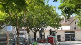 Les manifestants ont protesté contre le projet d'abattage d'arbres de la mairie de Herblay-sur-Seine.