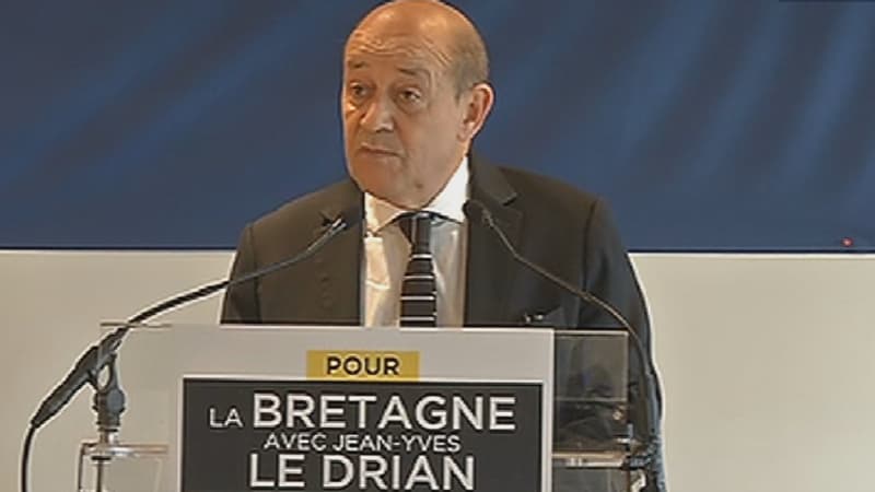 Jean-Yves Le Drian, vendredi.