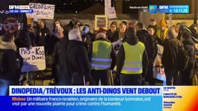 Trévoux: un projet de parc à dinosaures provoque la colère des habitants