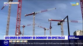 Les grues de Bobigny se donnent en spectacle