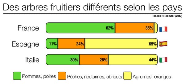 Infographie sur les fruits produits en France, Espagne et Italie.