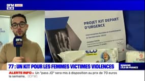 Seine-et-Marne: un kit pour les femmes victimes de violences