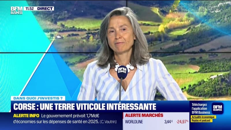 Dans quoi j'investis ? : Corse, une terre viticole intéressante - 25/06