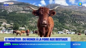 Le Monêtier: du monde à la foire aux bestiaux