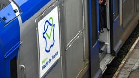 Un TER à la gare d'Hazebrouck, dans le Nord (photo d'illustration)