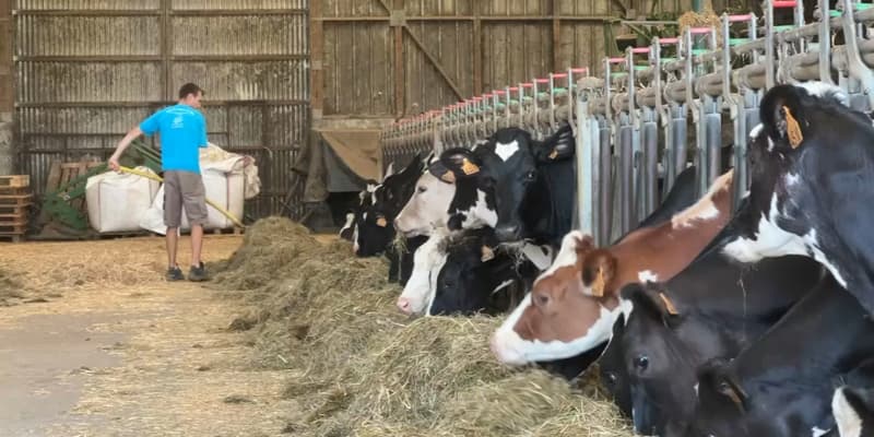 Avec l'inflation, les producteurs de lait voient leurs charges augmenter considérablement.