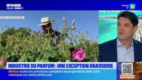 Grasse: Givaudan, l'un des leaders mondiaux de la parfumerie, va s'installer dans la ville