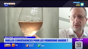 Les vignerons varois face aux droits de douanes supplémentaires annoncés par Donald Trump