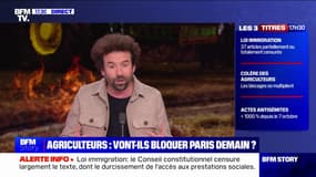 Cyril Dion (auteur, réalisateur et militant écologiste): "Le vrai problème des agriculteurs ne sont pas les normes environnementales, c'est qu'ils bossent 70h par semaine et qu'ils gagnent entre 700 et 1500 euros"