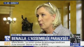 Affaire Benalla: pourquoi Marine Le Pen a-t-elle tardé à réagir ?