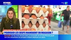 BFM Lyon et vous: pourquoi les œufs manquent en magasin?