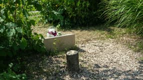 Une stèle commémorative et le tronc de l'olivier, abattu à la tronçonneuse, qui a été planté en 2011 devant un mémorial à Ilan Halimi, dont la mort a provoqué une vive émotion en France, à Épinay-sur-Seine, le 15 août 2025.