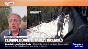 La Grèce frappée par de multiples incendies