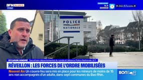 Alsace: les forces de l'ordre mobilisée pour le réveillon