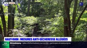 Haut-Rhin: certaines restrictions contre la sécheresse sont levées