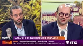Cannabis en France : vers une légalisation ?