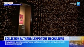 Dans les coulisses de l'Hôtel de La Marine: des bijoux regroupés dans la Collection Al Thani