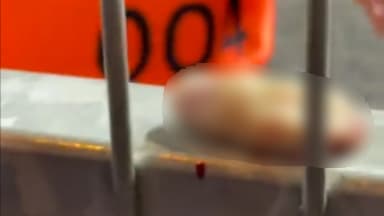 Le doigt d'un supporter de West Ham, posé sur les grilles du parcage visiteurs Le doigt d'un supporter de West Ham, posé sur les grilles du parcage visiteurs