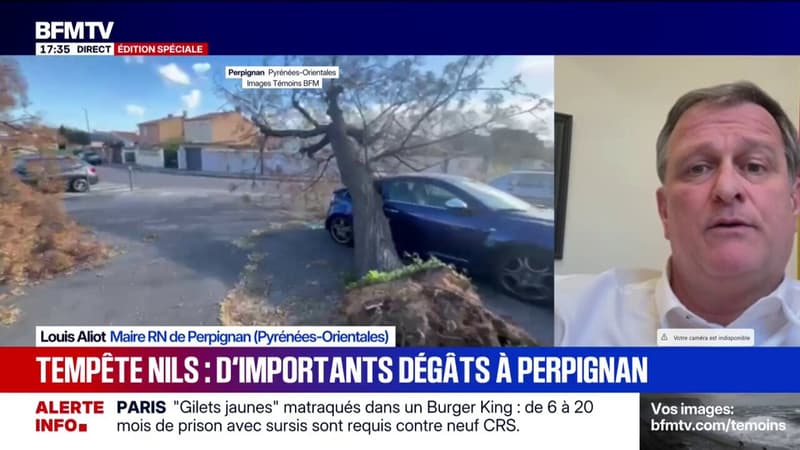 Tempête Nils: "Près de 500 arbres sont tombés", déclare Louis Aliot, maire RN de Perpignan