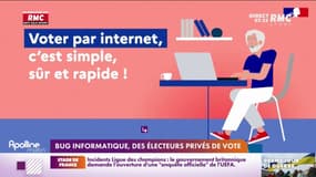 Élections législatives : des Français de l'étranger privés de vote à cause d'un bug informatique