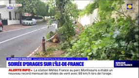 Orages: Météo-France indique qu'un "phénomène tourbillonnaire" a eu lieu dans la région de Cergy