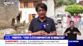 Orages: "Les habitants ont vu une vague tout emporter en une quinzaine de minutes à peine", indique la préfète de la Haute-Marne, Régine Pam