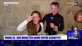 Ariane a testé la cuisine aux insectes !