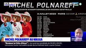 Nice: Michel Polnareff au Palais Nikaïa