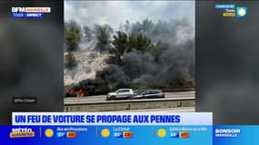 Les Pennes-Mirabeau: un feu de voiture se propage à la végétation