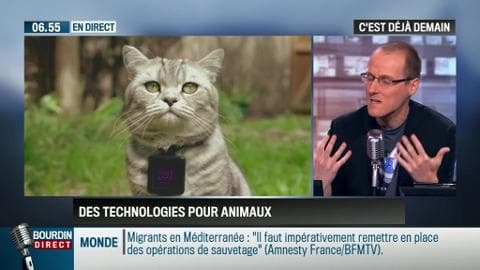 La chronique d'Anthony Morel : Les nouvelles technologies au service des animaux – 21/04