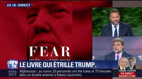 "Fear": le livre qui étrille Donald Trump