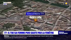 Seine-et-Marne: il tue sa femme puis saute par la fenêtre