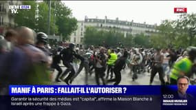 Rassemblement pro-Palestine: fallait-il autoriser la manifestation à Paris ?