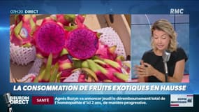 Dupin Quotidien : La consommation de fruits exotiques en hausse - 10/07