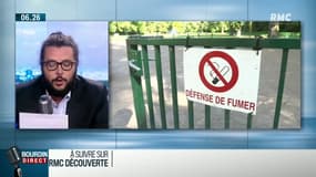Le tabac bientôt banni des parcs de Strasbourg
