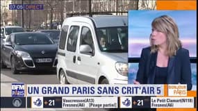 Interdiction des véhicules les plus polluants dans le Grand Paris: vers des contrôles automatiques des plaques