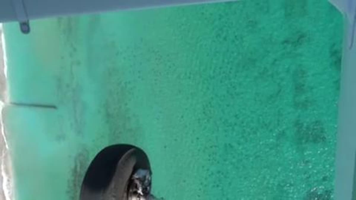 placeholder video