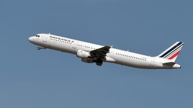 Un avion Air France (image d'illustration).