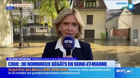 Crues: Valérie Pécresse veut "régionaliser la compétence inondation"