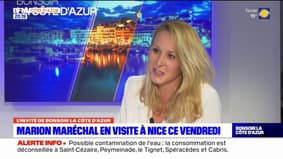 "RN héritier de Pétain": "c'est d'une pauvreté et d'une médiocrité intellectuelle que d'avoir recours à ces arguments moraux",