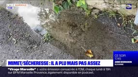 Sécheresse dans les Bouches-du-Rhône: à Mimet, les pluies des derniers jours n'ont pas suffi