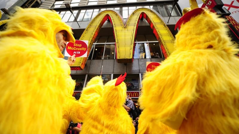 McDonald's est régulièrement critiqué pour nourrir ses poulets aux antibiotiques.