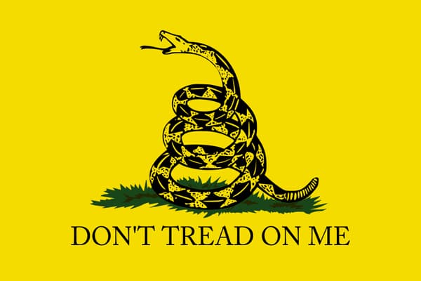 Le drapeau libertarien