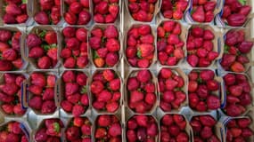 Des barquettes de fraises sur un marché de Toulouse, le 20 mai 2022